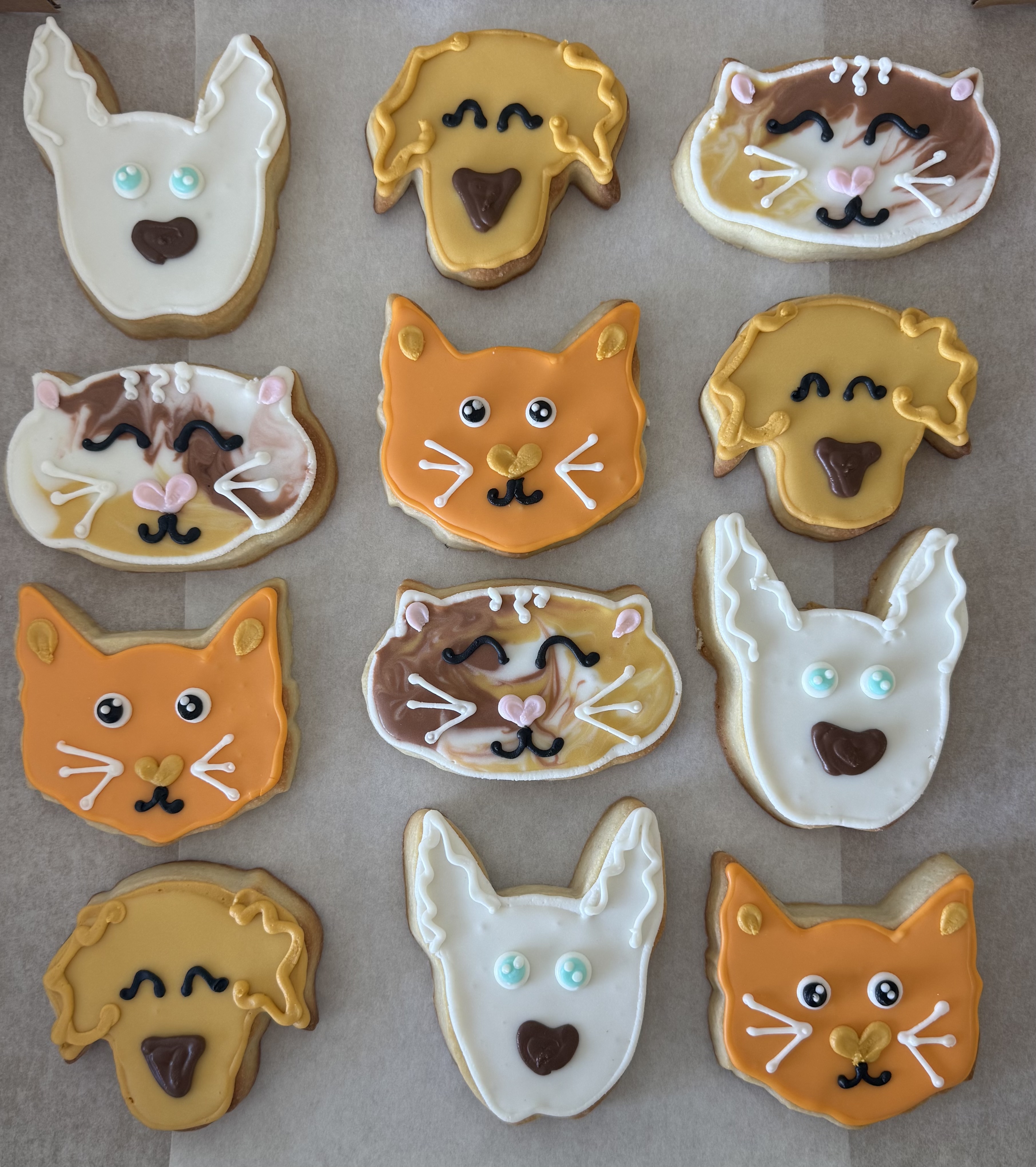 Yeah, we can do calico cat cookies